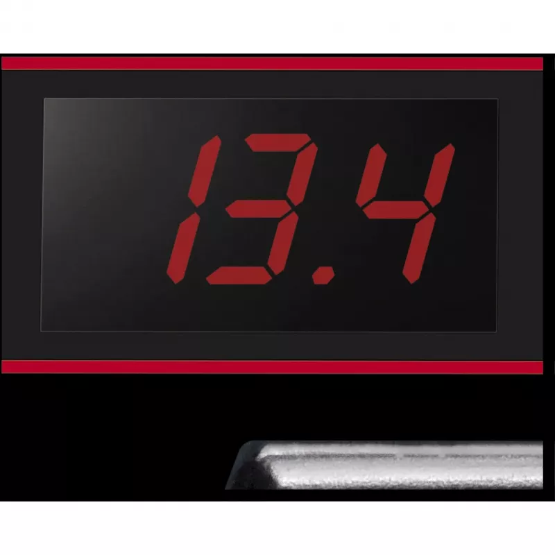 Caricabatterie Einhell CE-BC 15 M 12 V nero rosso