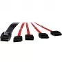Inter-Tech - Cavo SATA/SAS - Serial ATA 150/300/600 - 4-Lane - 36 PIN 4iMini MultiLane a SATA - 1,0 m - rosso (88885301)