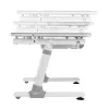 Ergo Office Scrivania ergonomica per bambini regolabile in altezza, grigia, max 100 kg, ER-417 2cz