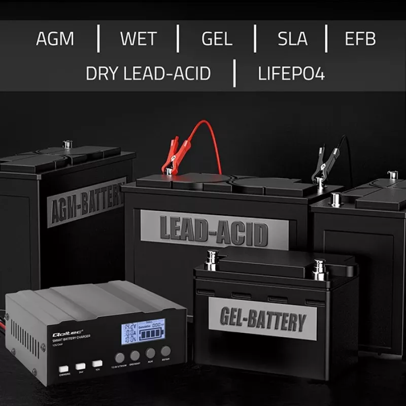 Caricabatterie QOLTEC 52491 microprocessore 12V/12,6V/24V con LCD
