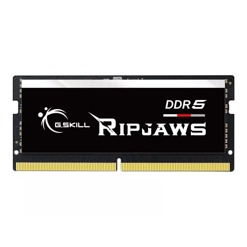G.Skill Ripjaws F5-4800S4039A16GX1-RS modulo di memoria 16 GB 1 x 16 GB DDR5 4800 MHz