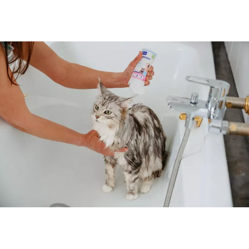 Shampoo VIRBAC Allerderm Normal 250 ml – delicata cura della pelle per cani e gatti