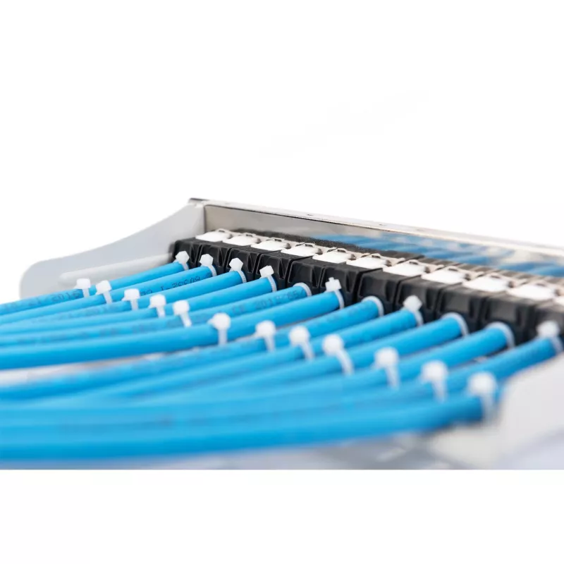 Patch panel modulare Digitus DN-91419 12 porte