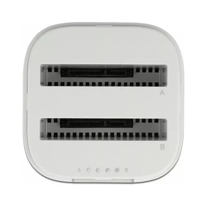 Docking station DeLOCK USB Type-C™ 3.2 per 2 x dischi/SSD SATA da 2,5 pollici