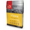ORIJEN Puppy - cibo secco per cani - 6 kg