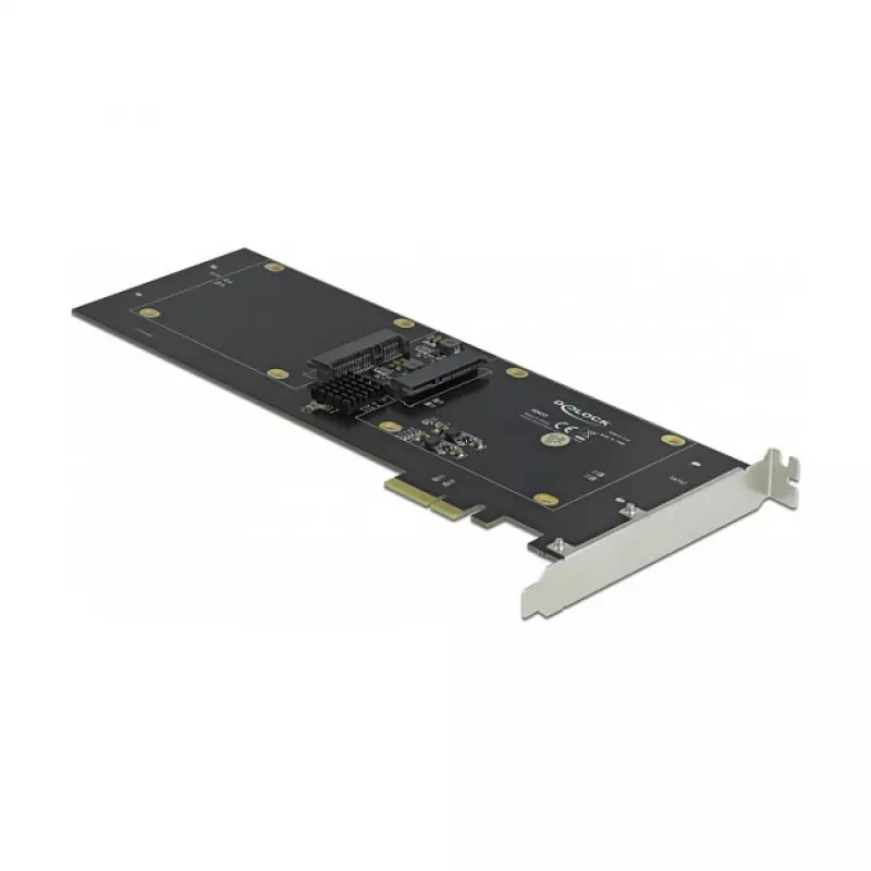 Scheda PCI Express x2 DeLOCK 90433 per 4 x SATA HDD SSD RAID