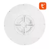 Lampada da soffitto smart 30cm WiFi/Bluetooth 16M RGBCW Gosund LB12 1920lm Tuya + telecomando.