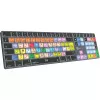 Tastiera Logickeyboard LKB-LOGXP2-TM-UK Office QWERTY inglese full-size
