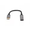 Adattatore cavo video Lanberg AD-DP-HD-04 0,2 m DisplayPort HDMI