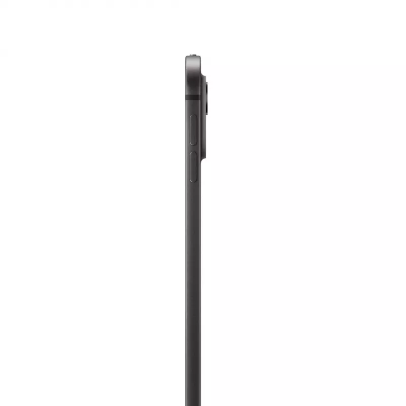 Apple iPad 13 pollici Pro WiFi 2TB con vetro standard - space black