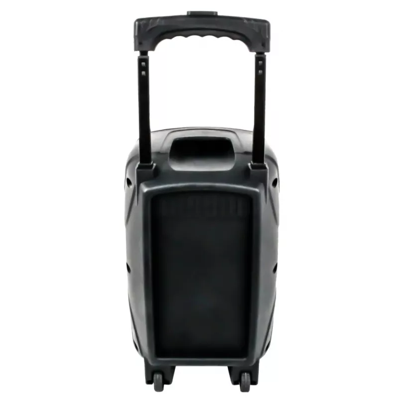 Altoparlante portatile Bluetooth APS22, nero
