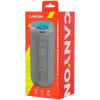 Altoparlante portatile Canyon CNE-CBTSP15BG beige