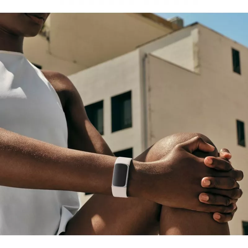 Fitbit GA05185-EU Prodotto argento