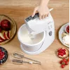 Mixer Zelmer ZHM2559 70305411P
