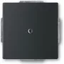 Piastra centrale cieca BUSCH JAEGER 1742-885 nero opaco