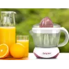 Bollitore elettrico Beper BP.101H 1,7 L 2200 W