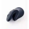 Gembird MUSW-ERGO-03 Mouse per uso domestico per destrorsi RF Wireless Ottico 1600 DPI