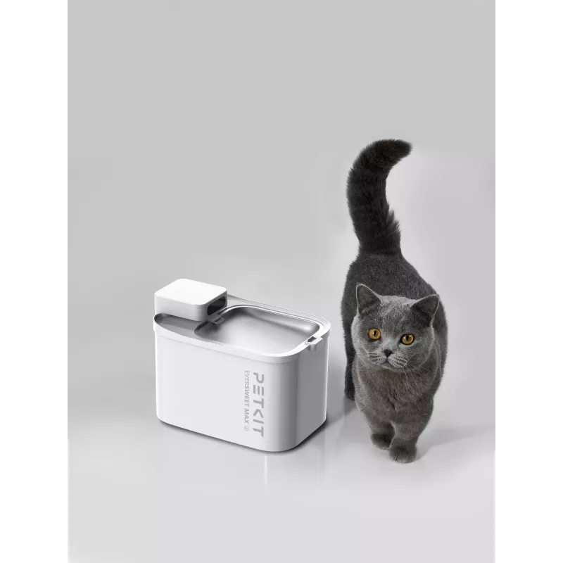 Fontanella per animali PETKIT Eversweet Max 2 — capacità 3 L, senza BPA, bianco