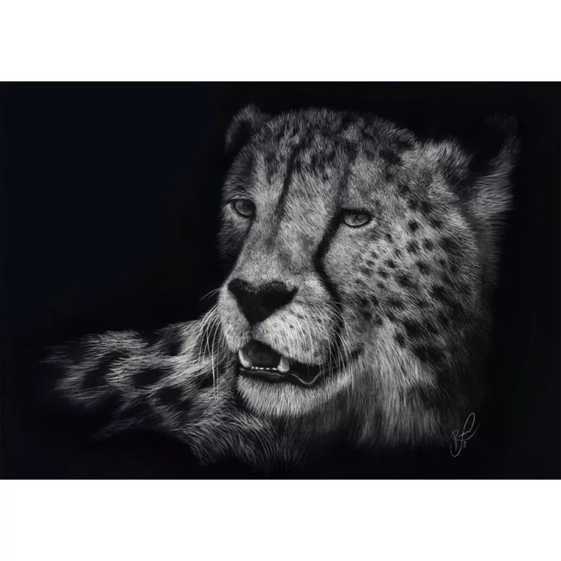Ashley Rader: Speed - Ghepardo, Nel segno della grazia, Puzzle 1000 pezzi