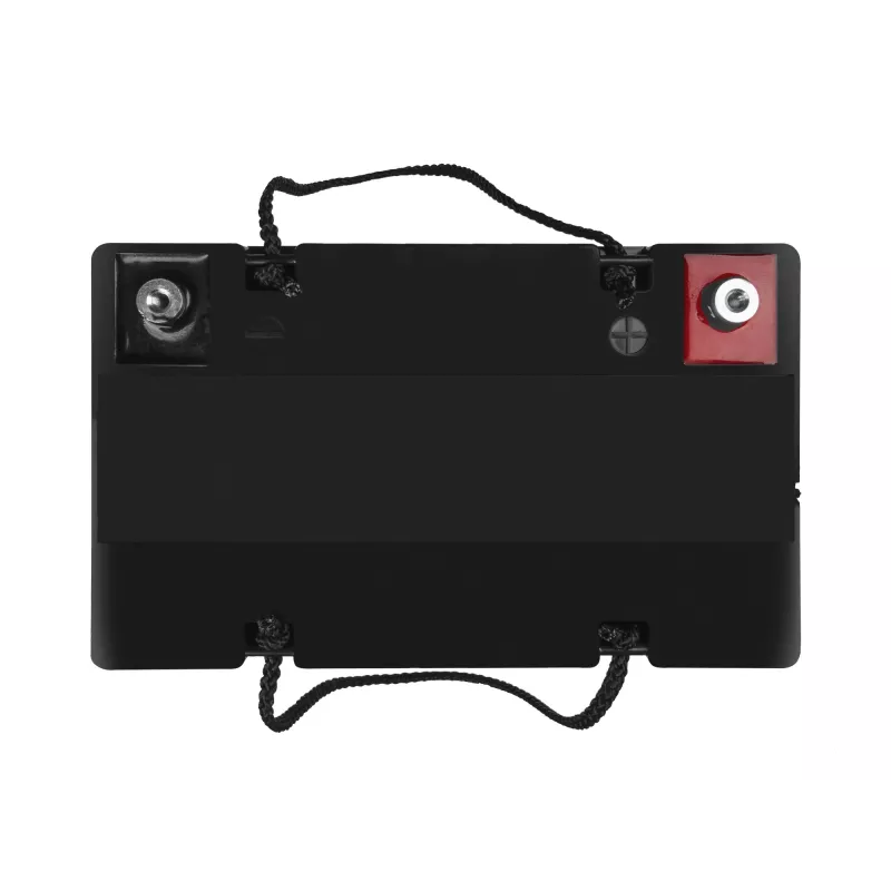 Batteria per veicoli AGM Green Cell AGM56