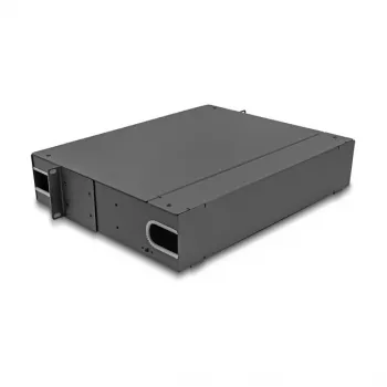 DeLOCK 66752 box di giunzione per fibra ottica da 19 pollici 2U, non equipaggiato