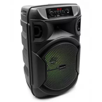 Altoparlante BLUETOOTH 5.3 E DR PULSETOWER SQ1006