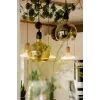 Lampadina LED Segula 55058 bianco caldo 1900 K 6 W E27