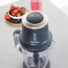 Frullatore da tavolo Petra PT5393BGRYVDE