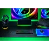 Razer BlackWidow V4 Low-Profile Tenkeyless HyperSpeed tastiera gaming, switch verdi, layout US