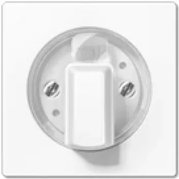 JUNG A 1541 WW - bianco - 1101-4 - 1101-20 - 11015 - 11120-20 - 1234,10 - 1234,20 - IP44