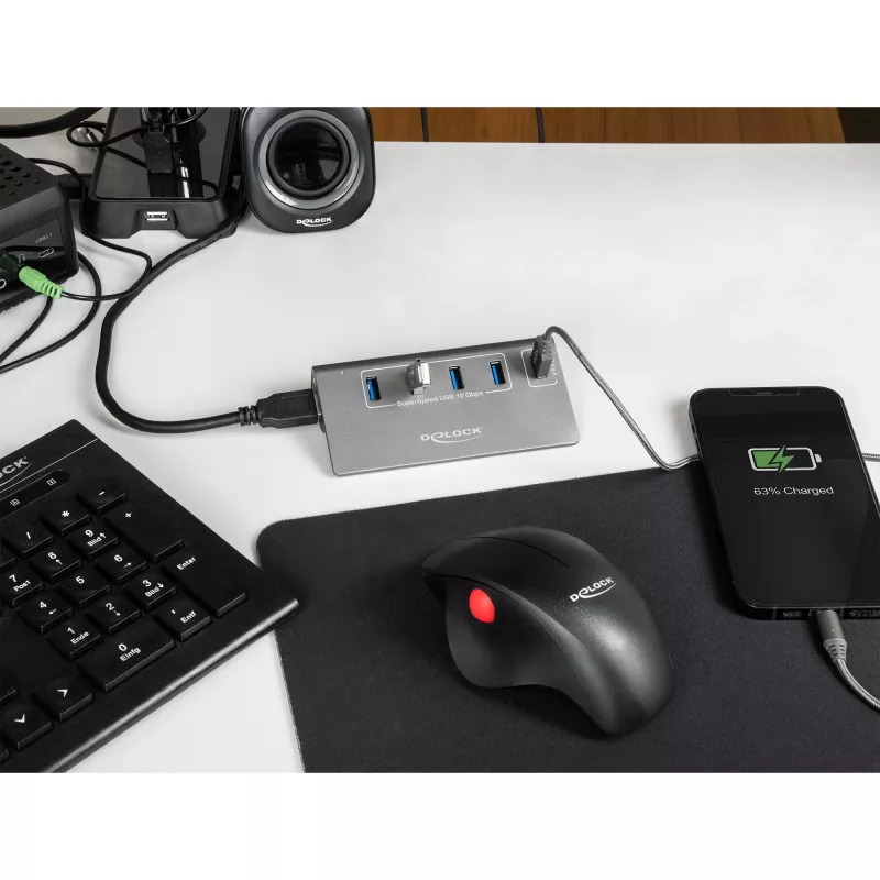 DeLOCK hub USB 10 Gbit/s 4 porte Type-A 1 porta di ricarica rapida