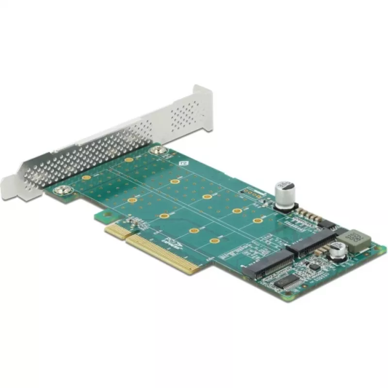 Scheda DeLOCK PCI Express x8 su 2 x NVMe M.2 Key M interne biforcazione formato low-profile