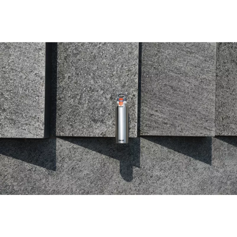 Sigg 8998.20 aspirabriciole