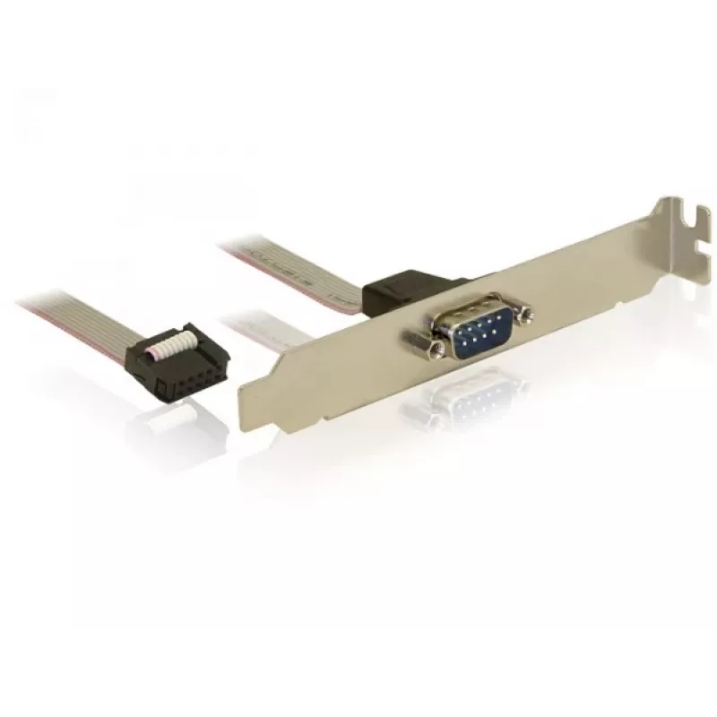 Scheda interfaccia DeLOCK 89108