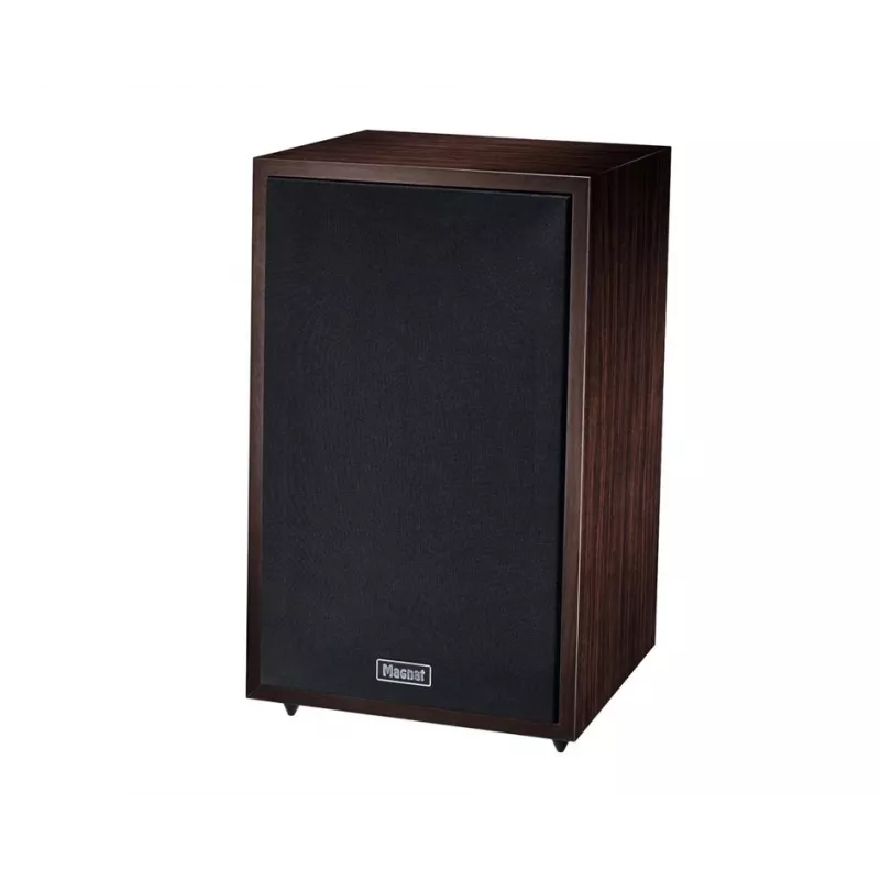Diffusore da pavimento Magnat TRANSPULS 800A 2 vie con e senza fili 2×60 W, Bluetooth 5.0, HDMI, nero/marrone