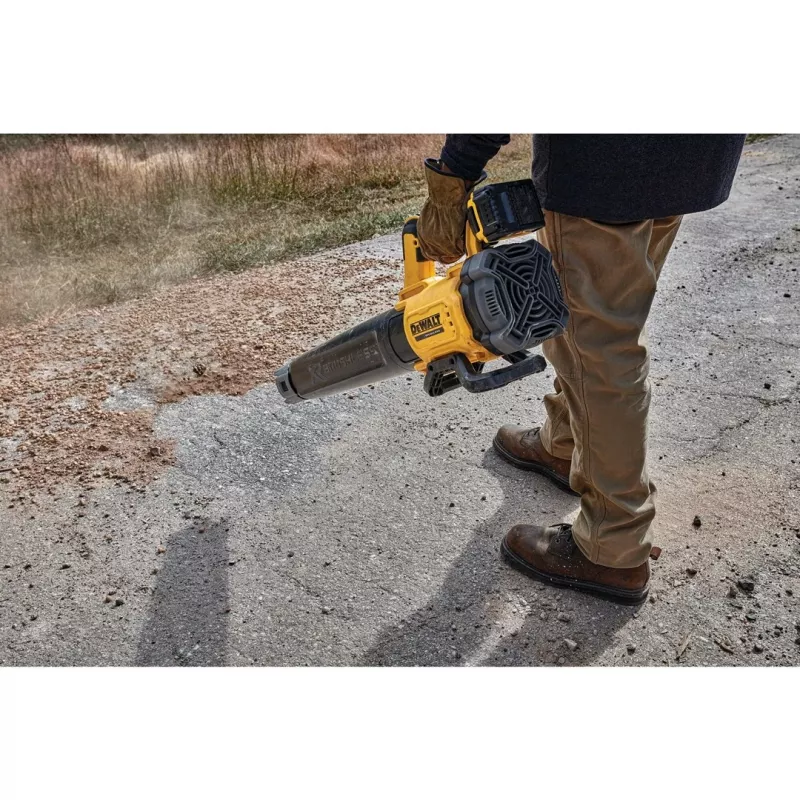 DEWALT. Soffiatore per foglie 18V XR DCMBL562N