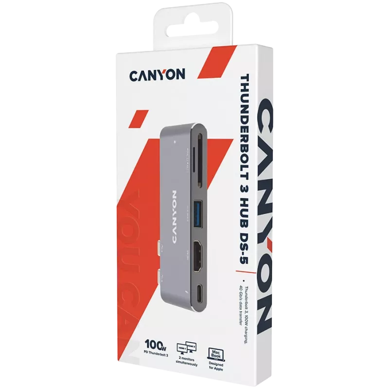 Lettore di schede SD Canyon DS-5 USB 2.0 Type-C grigio 60 Hz