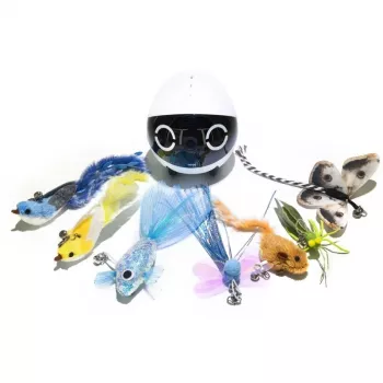 Set interattivo tiragraffi per gatti Enabot ROLA Mini – giocattolo a movimento automatico per gatti