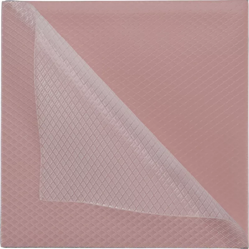 Thermal Grizzly Minus Pad 8 – 100 x 100 x 0,5 mm, 2 pezzi
