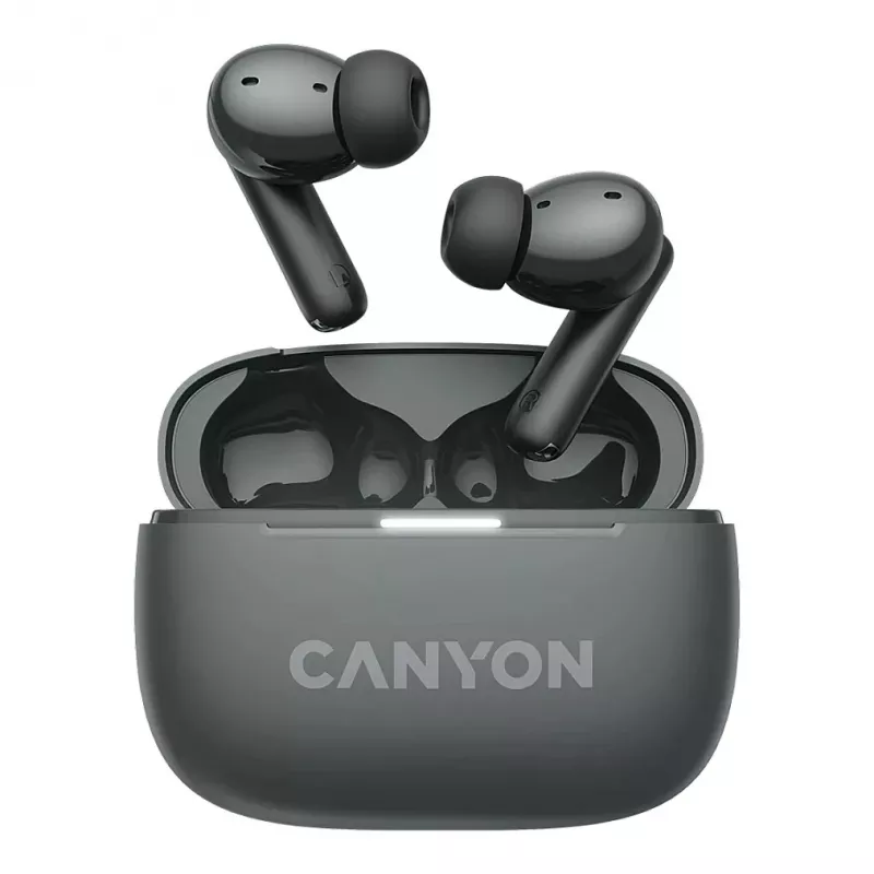 Auricolari True Wireless Canyon OnGo TWS-10 ANC+ENC, grigio (CNS-TWS10BK)