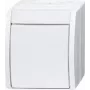 Busch Jaeger interruttore 2601/2 W-54 (2CKA001085A1627)