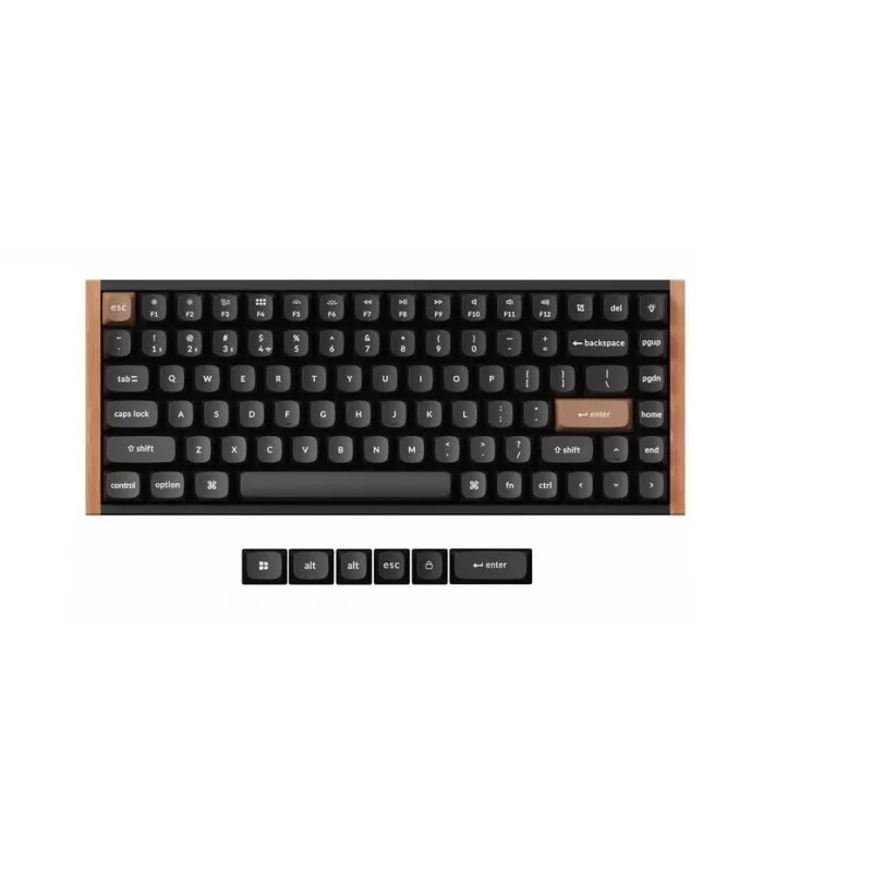 Tastiera meccanica wireless Keychron K2 Special Edition — layout compatto 75%, retroilluminazione RGB, nero, modello K2H-F1