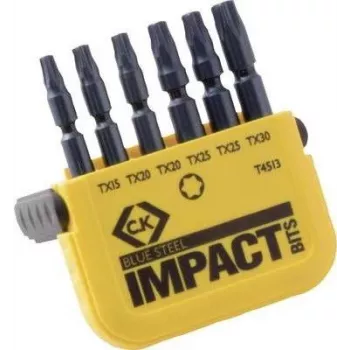 C.K. set di bit 6 pezzi TORX Torsion Control Technologie (T4513)