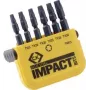 C.K. set di bit 6 pezzi TORX Torsion Control Technologie (T4513)