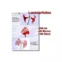 Pellicole per laminazione Olympia 1x100 DIN A4 80 micron
