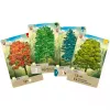 Mischwald, gioco di carte