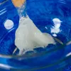 Kit scientifico Liscianigiochi Crazy Science Slime al buio 304-PL89239 — set di esperimenti con slime che brilla al buio
