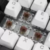 SKILLER SGK50 S3, tastiera da gaming bianca, layout DE, Gateron Brown
