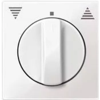 Merten 569819 interruttore elettrico bianco (569819)