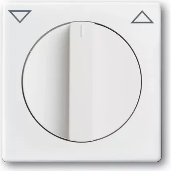 BUSCH JAEGER 1710-0-3172 - bianco - Busch-Jaeger - 1101-0-0534 1101-0-0542 1101-0-0559 1101-0-0567 - 63 mm - 63 mm - 1 pz.